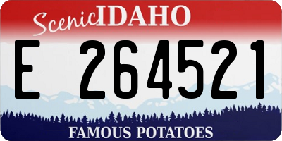 ID license plate E264521