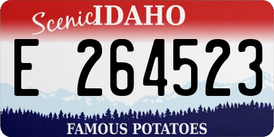 ID license plate E264523