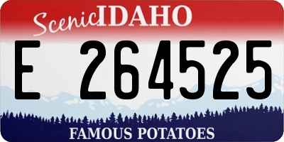 ID license plate E264525