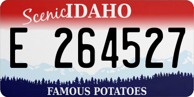 ID license plate E264527