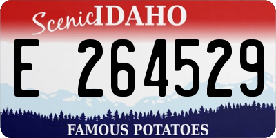 ID license plate E264529