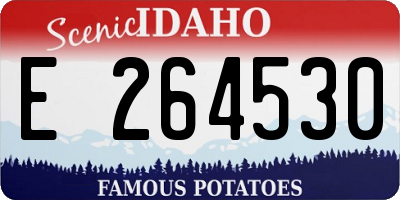 ID license plate E264530