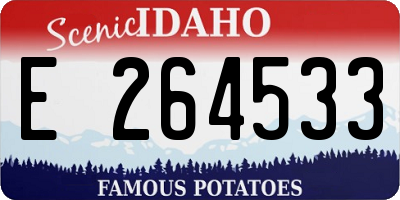 ID license plate E264533