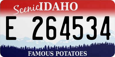 ID license plate E264534