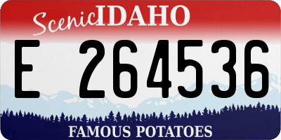 ID license plate E264536