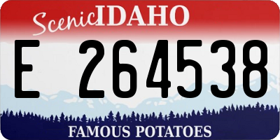 ID license plate E264538