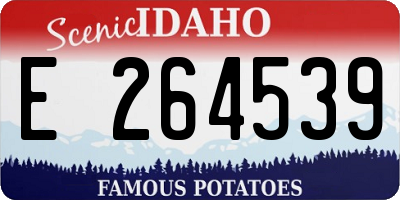 ID license plate E264539
