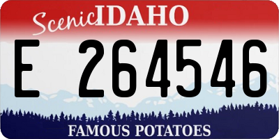 ID license plate E264546