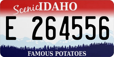 ID license plate E264556