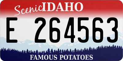 ID license plate E264563