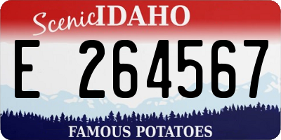 ID license plate E264567