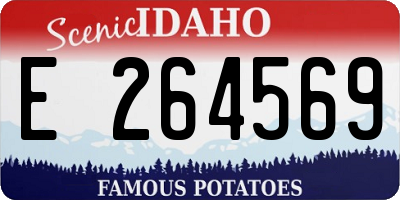 ID license plate E264569