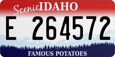 ID license plate E264572