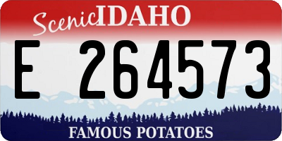 ID license plate E264573