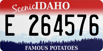 ID license plate E264576