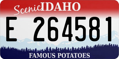 ID license plate E264581