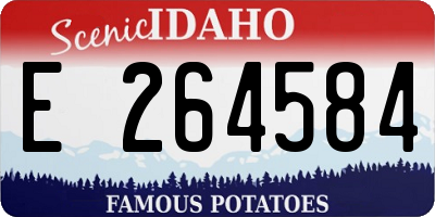 ID license plate E264584