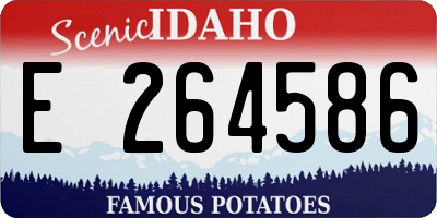 ID license plate E264586