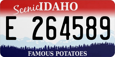 ID license plate E264589