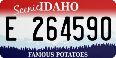 ID license plate E264590