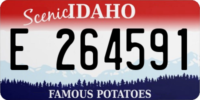 ID license plate E264591