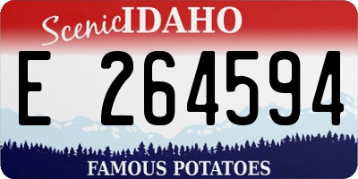 ID license plate E264594