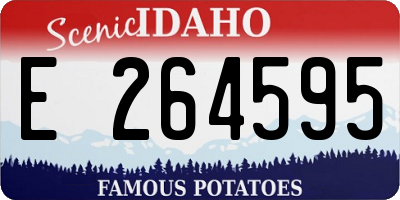 ID license plate E264595