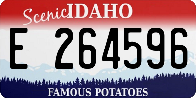 ID license plate E264596