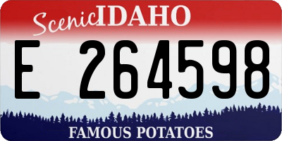 ID license plate E264598