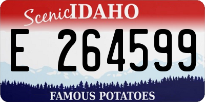 ID license plate E264599