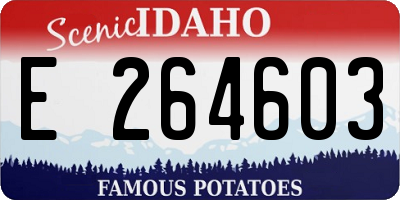 ID license plate E264603