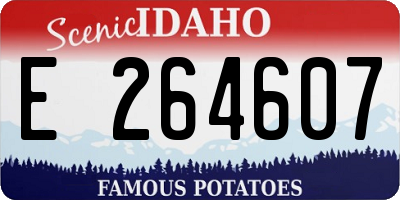 ID license plate E264607