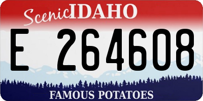 ID license plate E264608