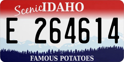 ID license plate E264614