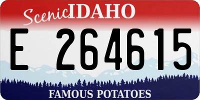 ID license plate E264615