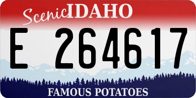 ID license plate E264617