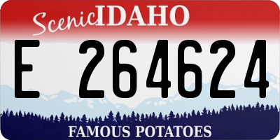 ID license plate E264624