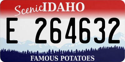 ID license plate E264632