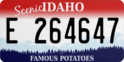 ID license plate E264647