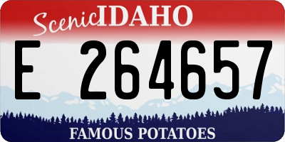 ID license plate E264657
