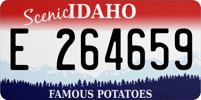 ID license plate E264659
