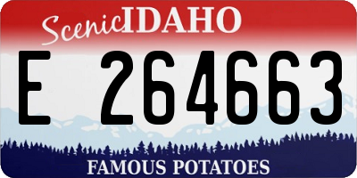 ID license plate E264663