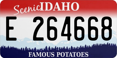 ID license plate E264668
