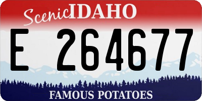 ID license plate E264677