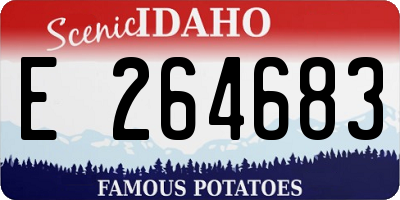 ID license plate E264683