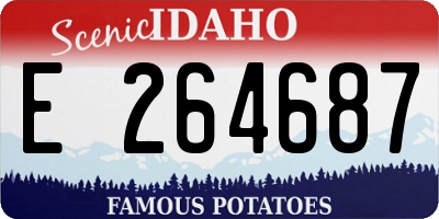 ID license plate E264687