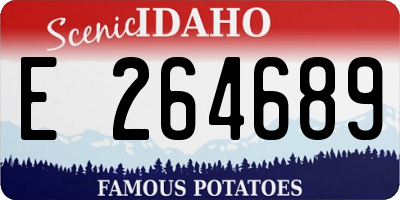 ID license plate E264689