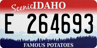 ID license plate E264693