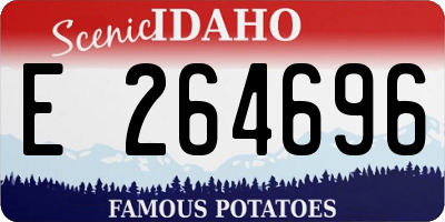 ID license plate E264696
