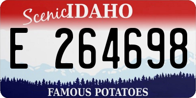 ID license plate E264698